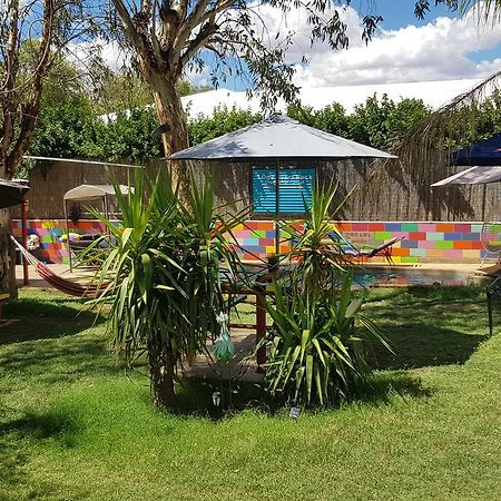 Alice'S Secret Travellers Inn Alice Springs Luaran gambar